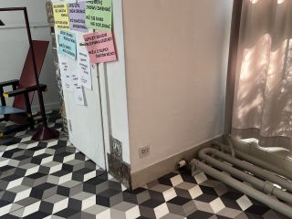 Afbeelding: 2026-06/img-1737.jpg